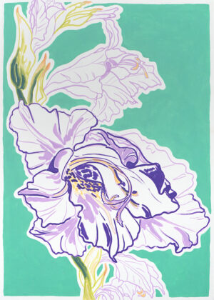 Gladiole