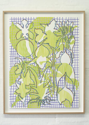 Organised Orchids