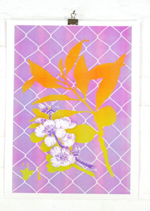 Mandelblüte