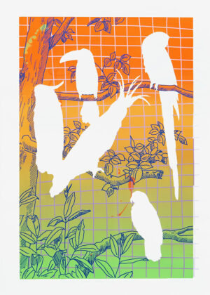 Cockatoos, Toucan, Macaw and a Parrot