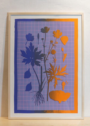 Butterblume