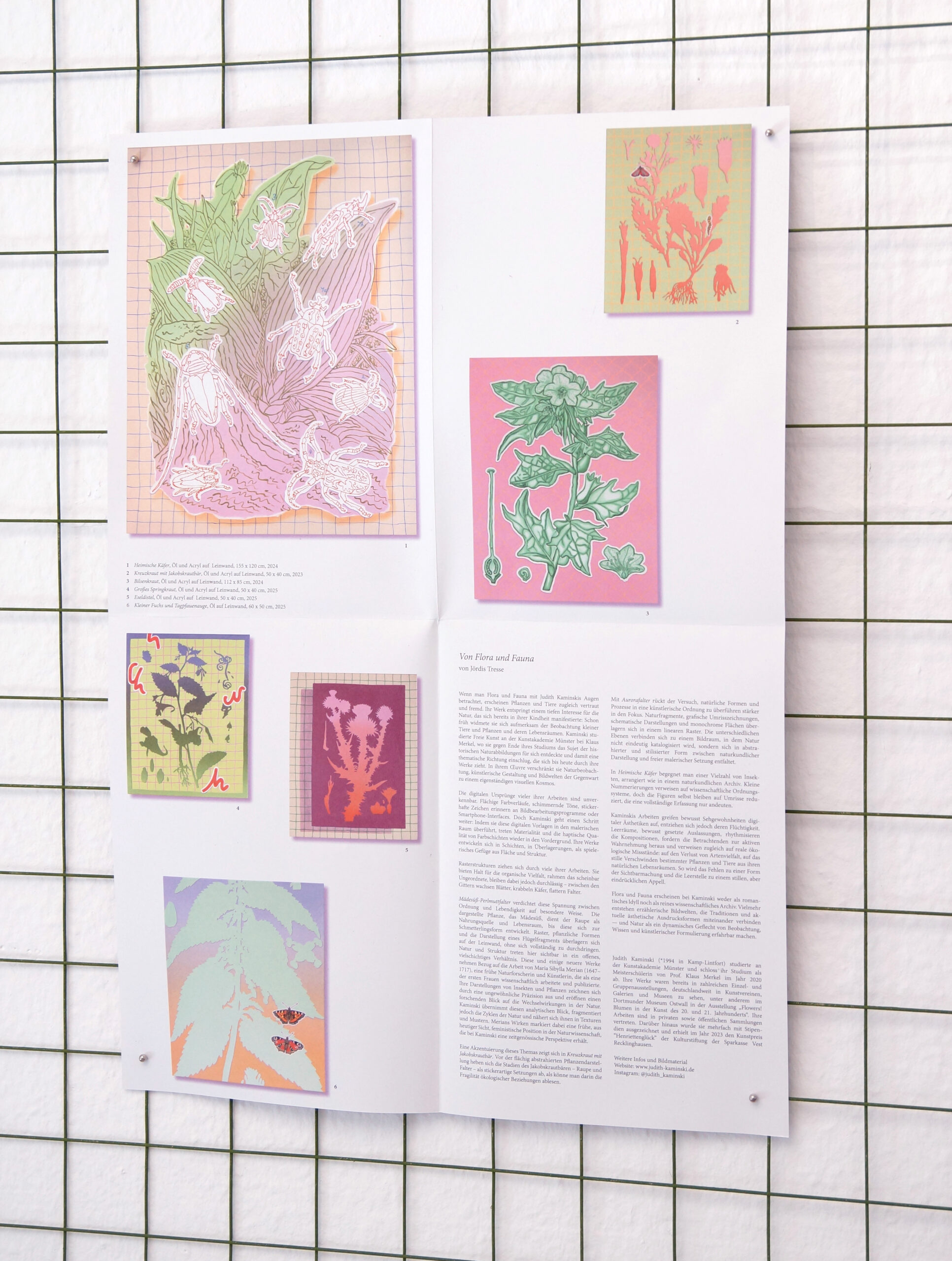 Faltblatt - Von Flora und Fauna – Bild 2