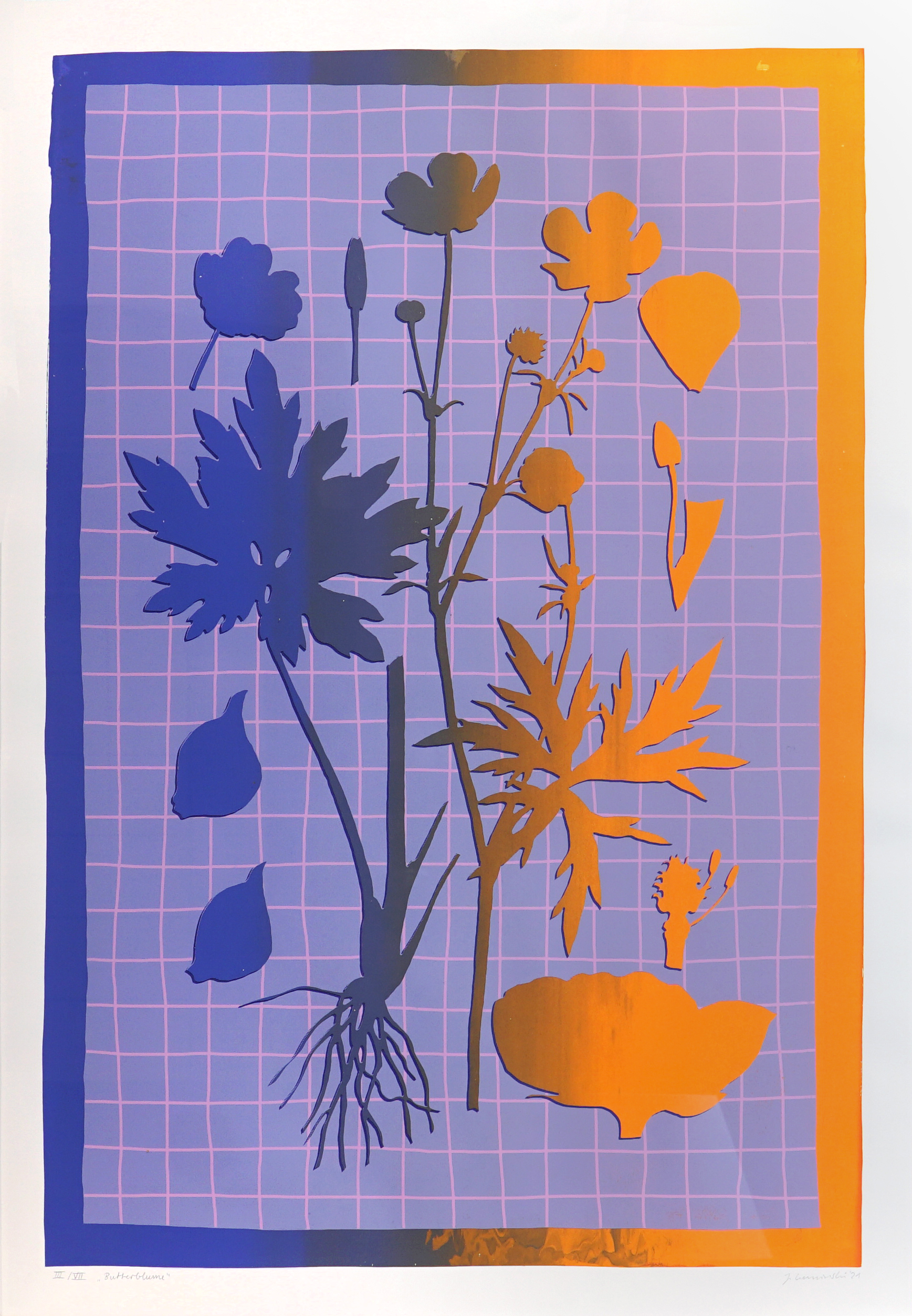 Butterblume – Bild 3