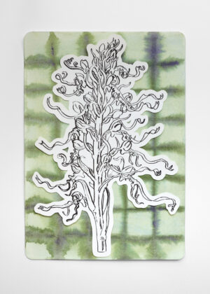 Aquarell - Bocks-Riemenzunge