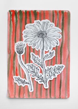 Aquarell - Großblütiges Marigold